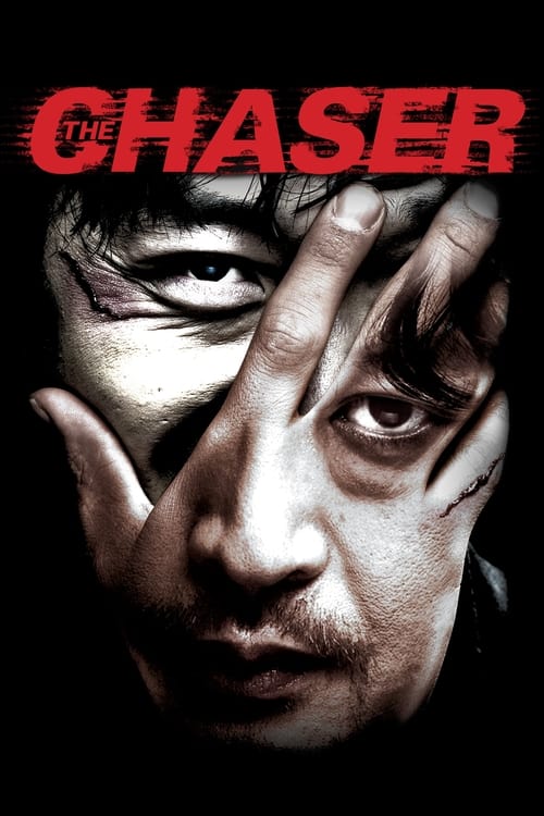 The Chaser (2008) DD 5.1 Dual Audio {Hindi-KOREAN} BluRay 480p [444MB] | 720p [1GB] | 1080p [2GB]